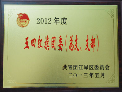 湖北東信醫藥有限公司團支部榮獲2012年度“五四紅旗團委”
