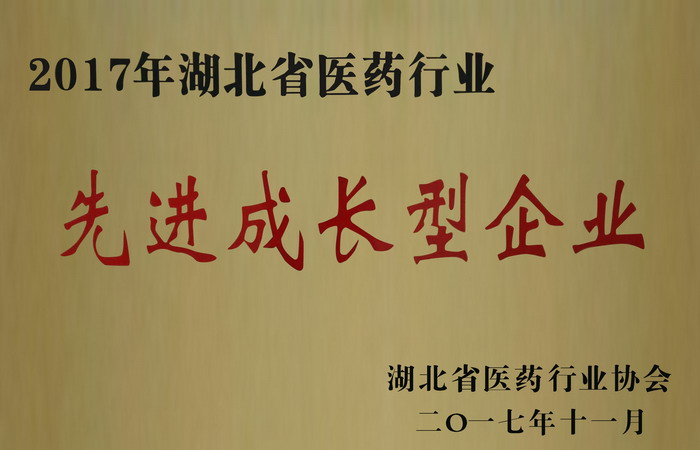 東信藥業(yè)榮獲“湖北省醫(yī)藥行業(yè)先進(jìn)成長型企業(yè)”，“混合脂肪酸甘油酯...