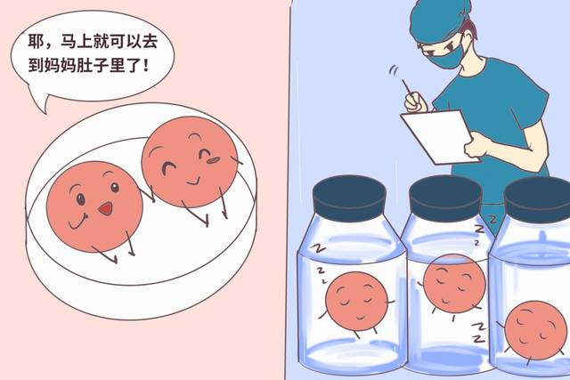哪些胚胎可用于移植？了解下！